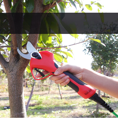 Sécateur électrique - ElectricGardenPruningShear™